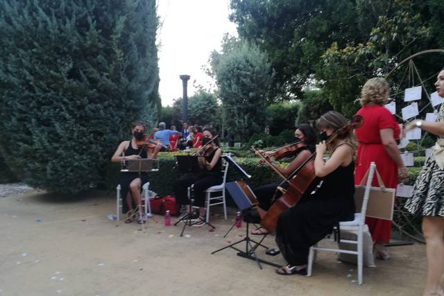 Cuarteto Amici 5