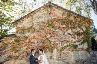 Emotion & Motion - 7