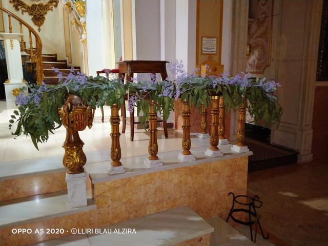 Lliri Blau - 4