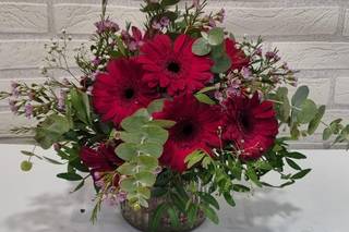 Flor de Lyc - 8