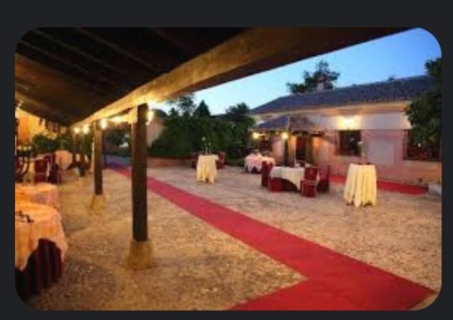 Finca Los Truecos - 4