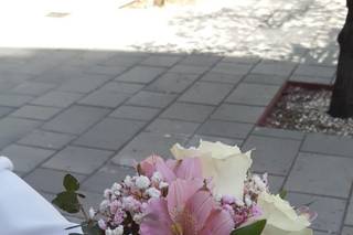 El Jardín - 7