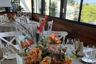 Bancells Floristes - 5