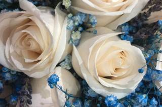 Alonso Floristas - 11