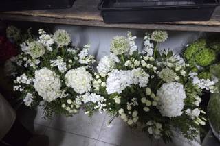 Delirios Floristas - 6