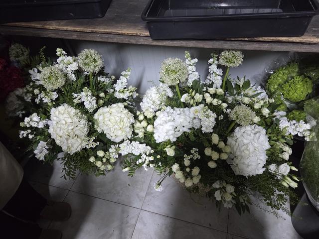 Delirios Floristas - 3