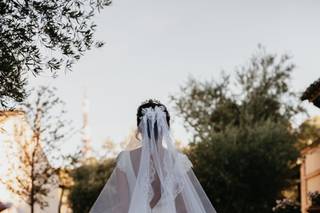 Drys Photo - 22