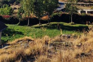 Las Buenas Costumbres - 10