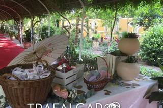 Floristeria Trafalgar - 21