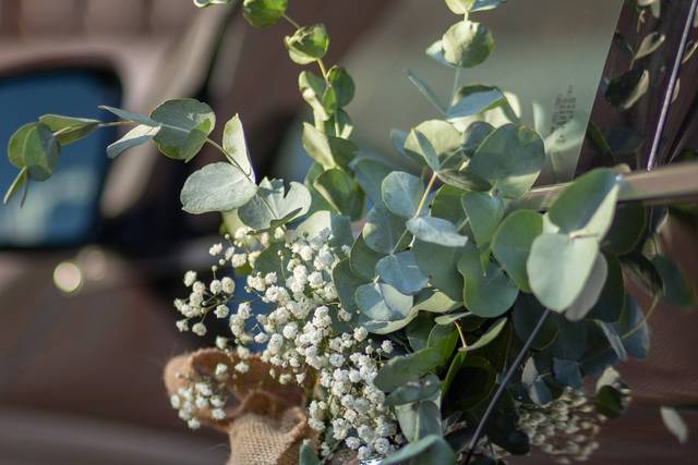 Floristeria Caribel 4