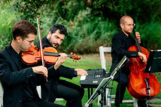 Artium Trio - 5