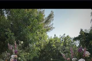 L’Arbre Flors - 5