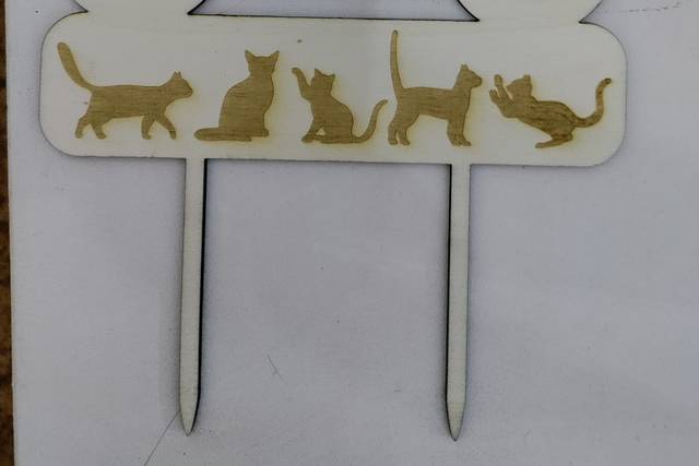 Regalos Di Benedetto 5