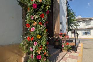 Agaplan - floristería y vivero - 9