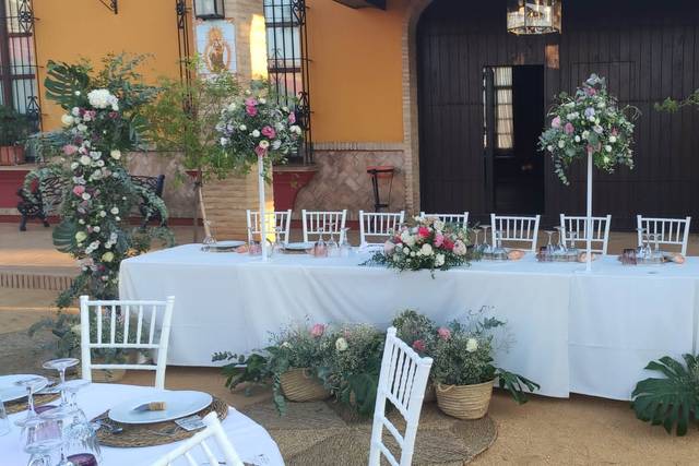 Dehesa del Duque 3
