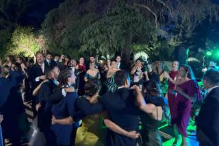 Panda Canalla - 8