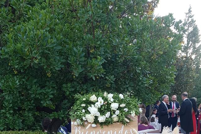 Elite Wedding Planners 2