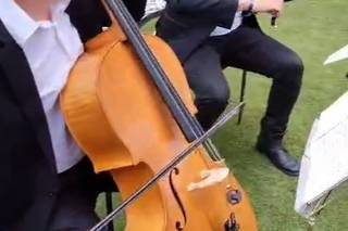 Dani Electric Violín - 5