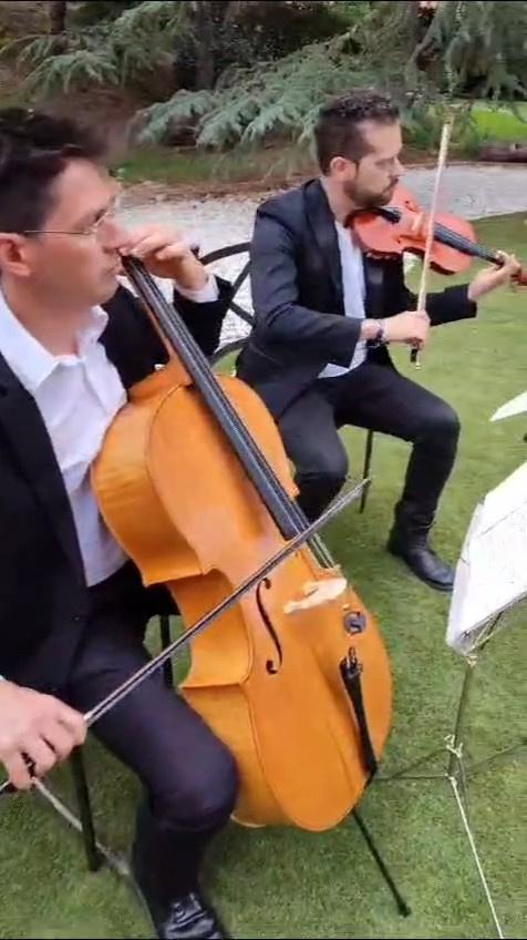 Dani Electric Violín - 2