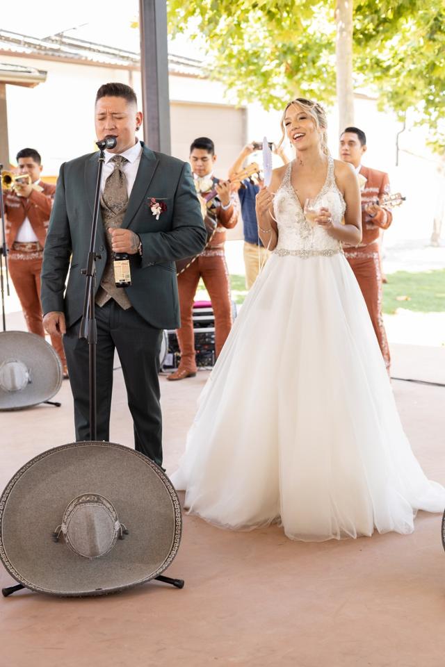 Mariachi Imperial Elegancia Mexicana - 2