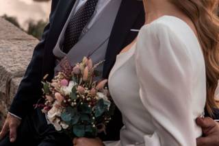 Drys Photo - 14