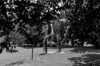 Finca Soto de Bruil - 10