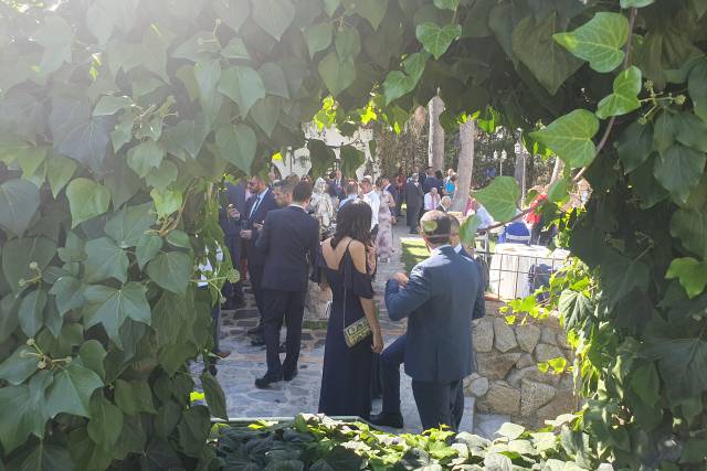 Finca Los 3 Corrales 4