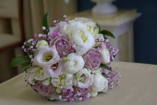 Petit Violet - 16