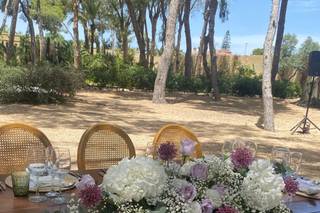 Terciopelo Events - 5