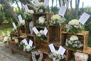 Terciopelo Events - 6