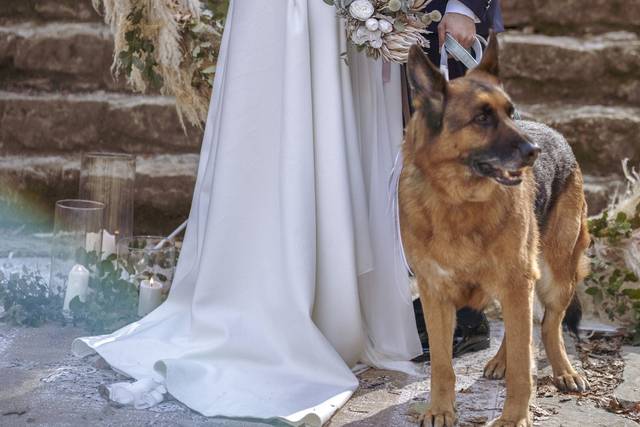 Marta - Oficiante y Ceremony Planner 1