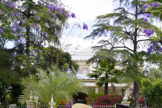 Foto Stilo Azahar - 9