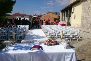 Cercis - Taller de Arte Vegetal - 11