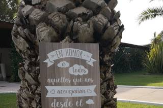 Baul de Roose - 8