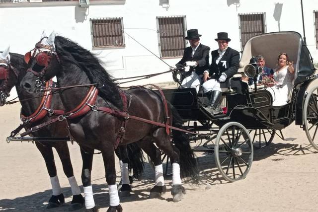 Bodas a caballo Villablanca 4