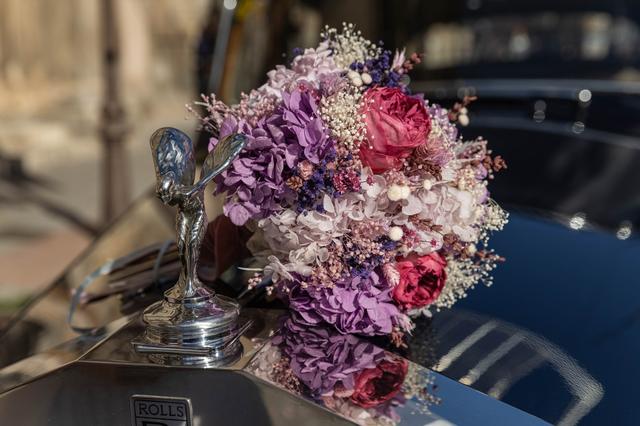 Mi jardín en tus manos - 4