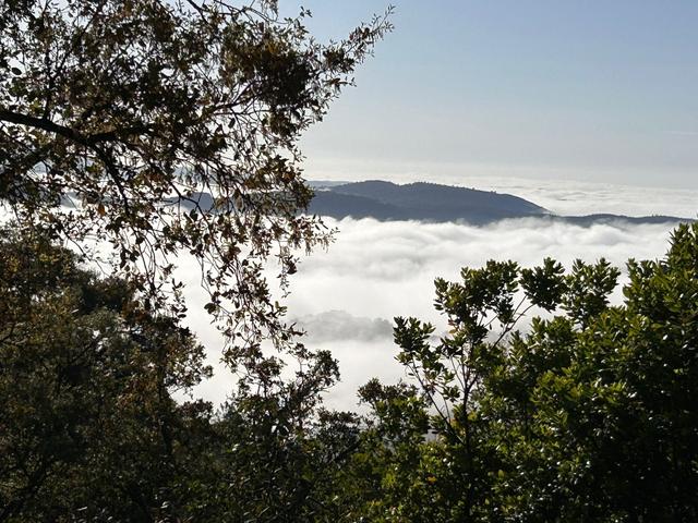Finca la Fronda - 4