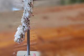 Terrae Floristas - 14