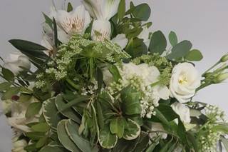 Bonsai Floristas - 18