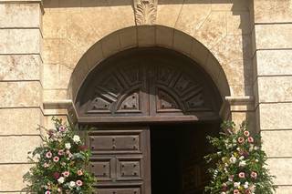 Flores Alme - 11