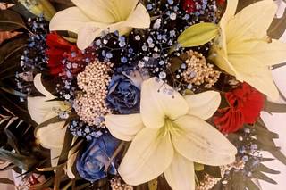 Flors i Complements Dalia - 6