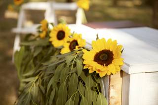 Aida Moscoso Fotografía - 15