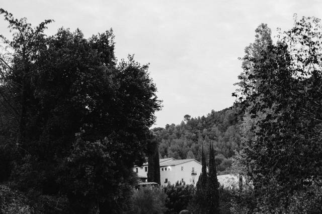 Ivan Pujol Photography 2