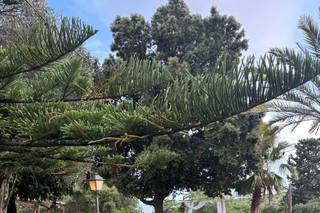 La Mer Hotel & Events - 20