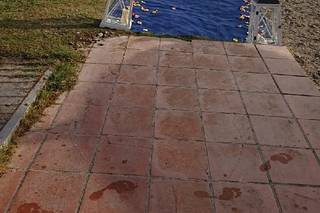 H10 Estepona Palace - 5