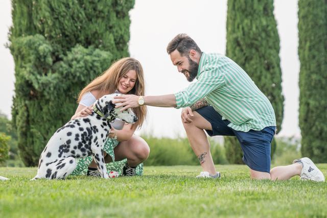 La Comunidad del Anillo - 4