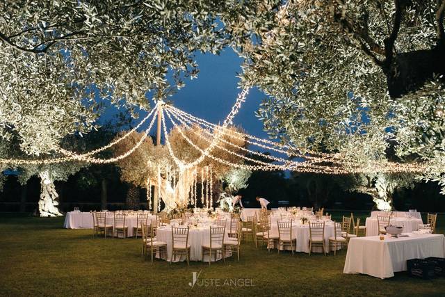 Blue Velvet Eventos 5