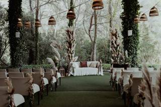 Oliveras Floristes - 5