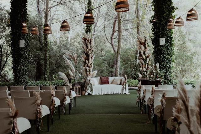 Oliveras Floristes - 1