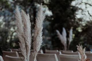 Oliveras Floristes - 6